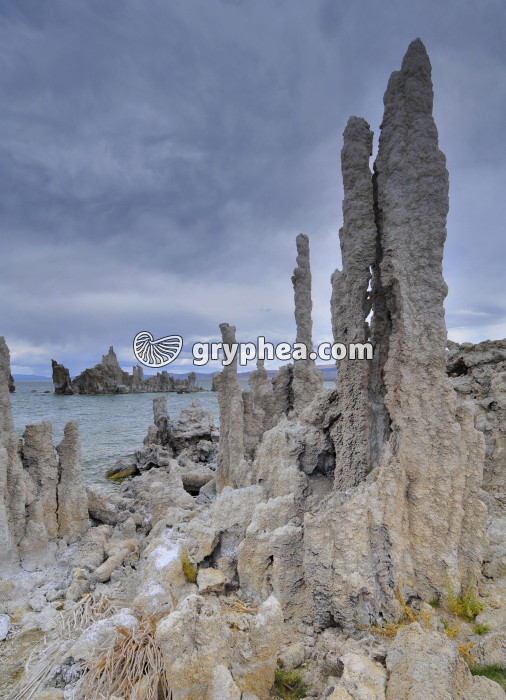 Tufa sur les rives de Mono Lake (California, USA) - gryphea.com